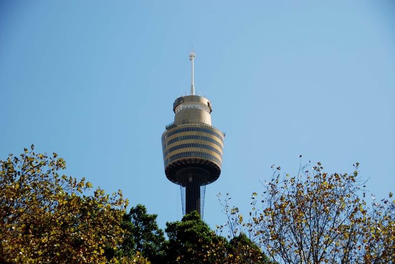 Skytower_Sydney_New_South_Wales_Australia.jpg