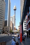 Sydney Tower from Darling Harbour - Sydney, New South Wales, Australia