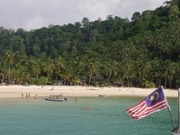 Palms on white sand - Salang Beach, Pulau Tioman, Malaysia