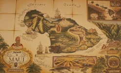 Maui Karte
