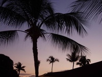Sunset Bierchen - Lahaina, Maui