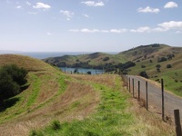 Switzerland in NZ - Far North Coromandel, NZ