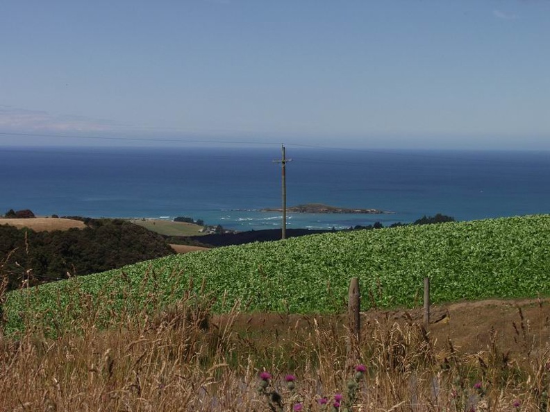 Green_Blue_Coastal_Otago_South_NZ.jpg