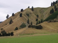Waipara Valley - East Coast, South NZ