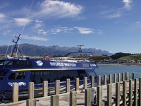 Whale Watch Katamaran - Kaikoura, East Coast, South NZ