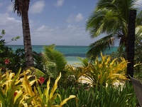 Pacific View - Fafá Island Resort