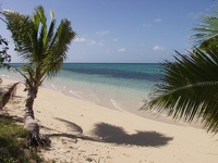 White Sand Beach - Fafá Island
