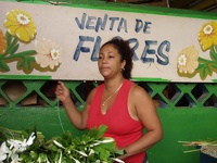 flower power - farmers market, Vedado, Havana, Cuba
