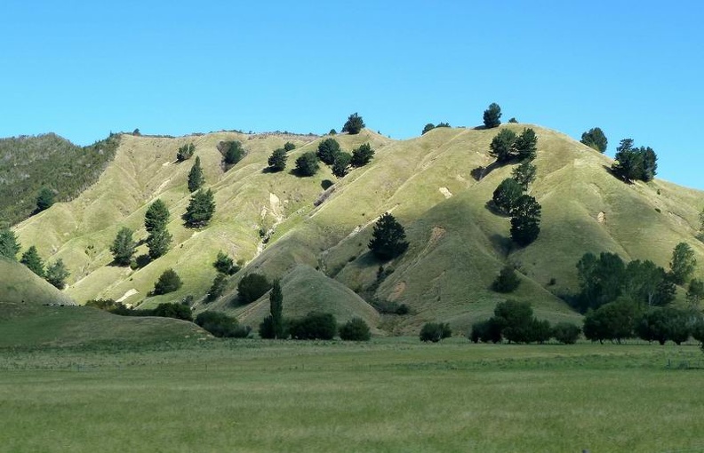 Rolling_Hills_Hawkes_Bay_North_NZ.jpg