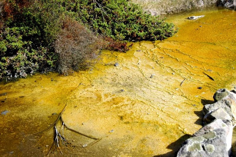 Yellow_mud_earth_in_Kuirau_Park_Rotorua_Central_Northland_NZ.jpg