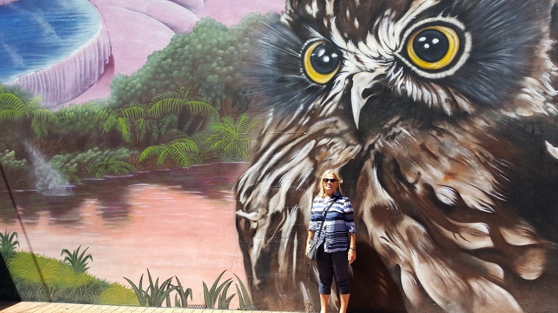 Owl_mural_-_Rotorua_North_New_Zealand.jpg