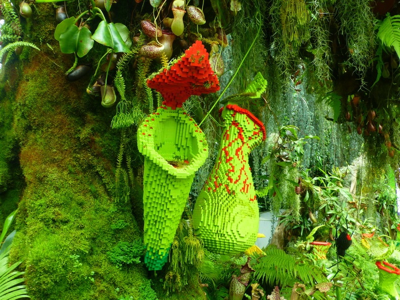 Carnivore_plant_-_Cloud_forest_Gardens_by_the_bay_Singapore.JPG