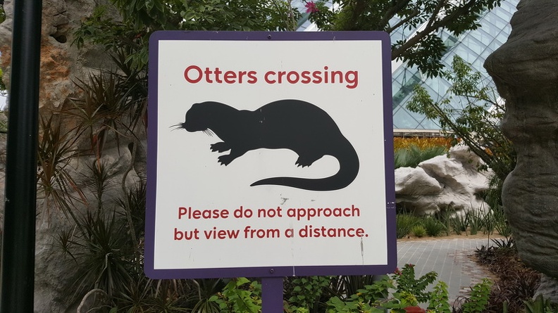 Otters_crossing_-_Gardens_by_the_bay_Singapore.jpg