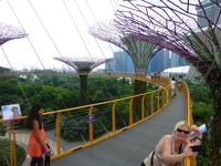 Sky walk - Supertree Groove Gardens by the bay Singapore