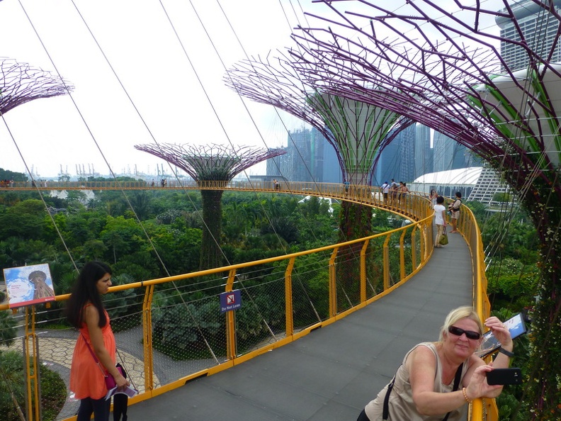 Sky_walk_-_Supertree_Groove_Gardens_by_the_bay_Singapore.JPG