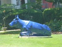 Cow Parade 3 - Perth Western Australia