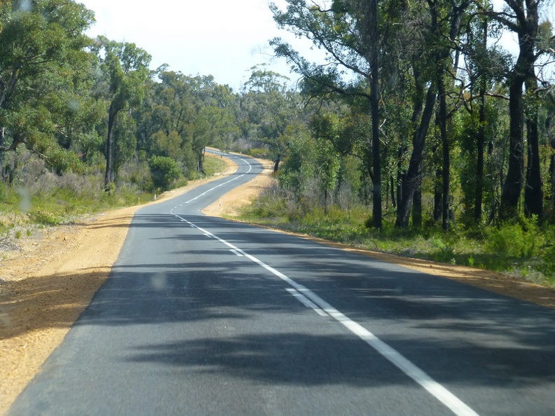 Highway_Number_One_-_near_Pemberton_Western_Australia.JPG